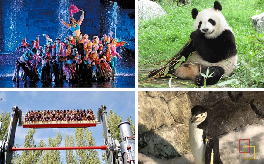 Parques temáticos: Parque de Atracciones, Faunia, Zoo Aquarium de Madrid o Puy du Fou
