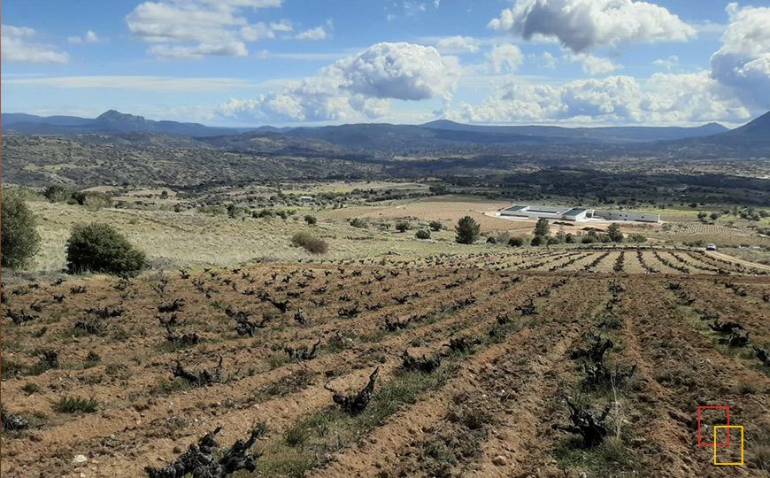 Proyecto enoturístico 'Tierras de Cebreros' en Cebreros - Ávila