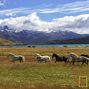 Cinco destinos, cinco transportes: Viajar es andar