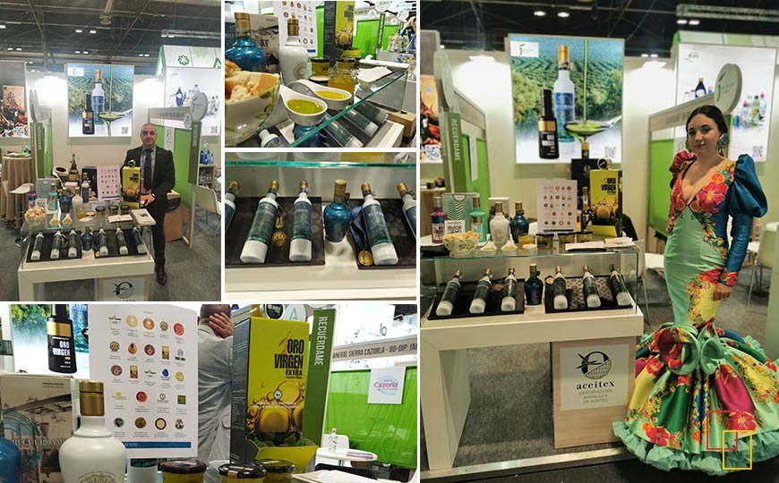 ACEITEX - Exportadora Andaluza de Aceites