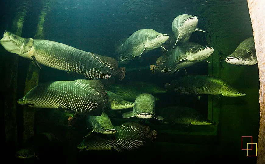 Interior del Acuario Fluvial de Zaragoza