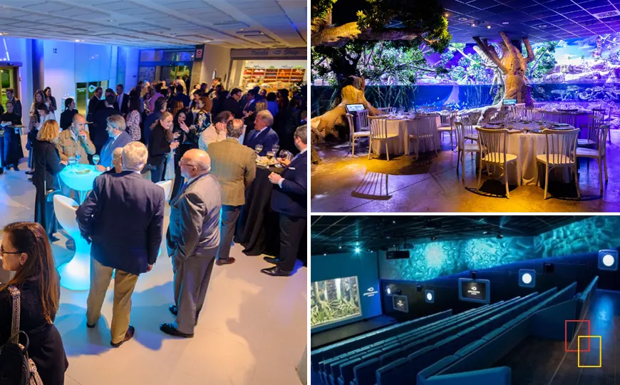 Acuario de Sevilla: auditorio inmersivo y espacios singulares para eventos corporativos en Sevilla