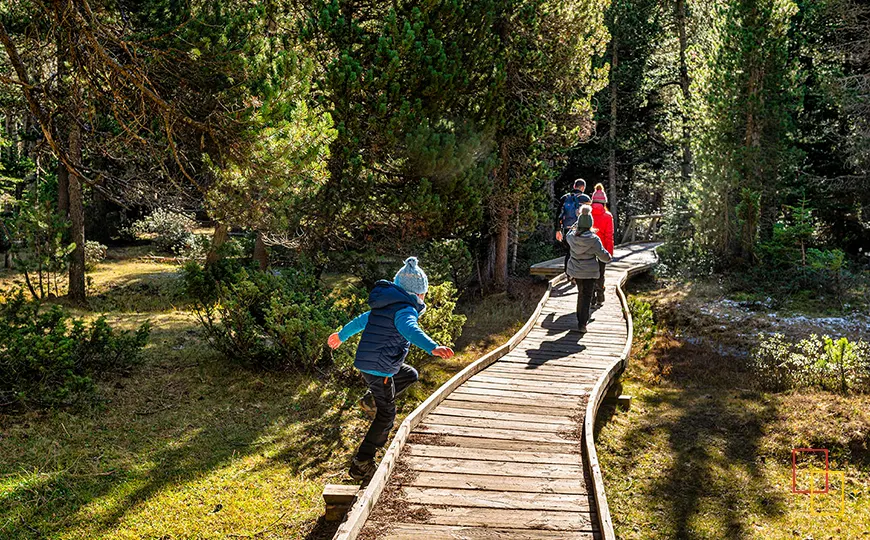 Pasarelas de madera en el entorno de Aigüestortes, Vall de Boí
