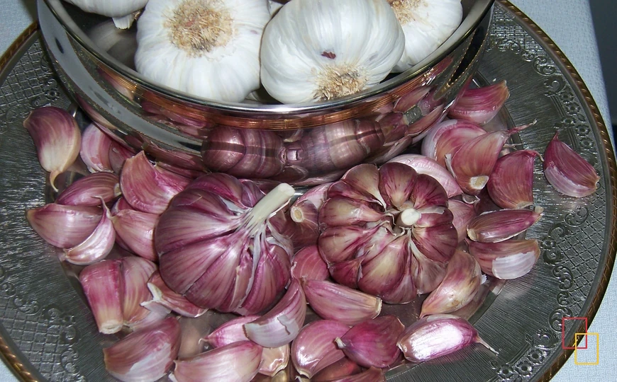 Ajo morado de Las Pedroñeras