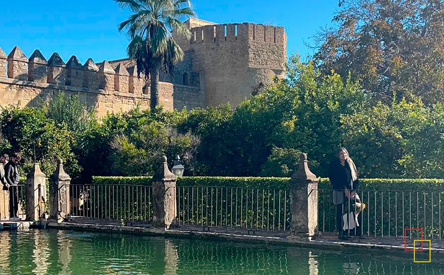 Estanque con peces en los jardines del Alcázar de Córdoba