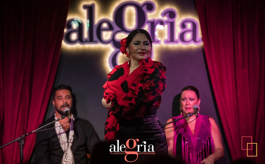 Bailaora en primer plano en Alegría Flamenco y Gastronomía (Málaga)