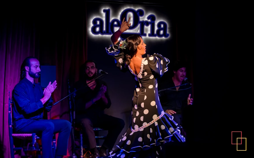 Escenario de Alegría Flamenco y Gastronomía en Málaga durante un espectáculo de flamenco en vivo