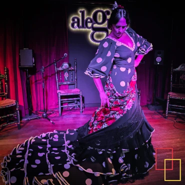 Alegría Flamenco y Gastronomía en Málaga: tablao flamenco con flamenco en vivo, baile, cante y guitarra muy cerca de La Malagueta