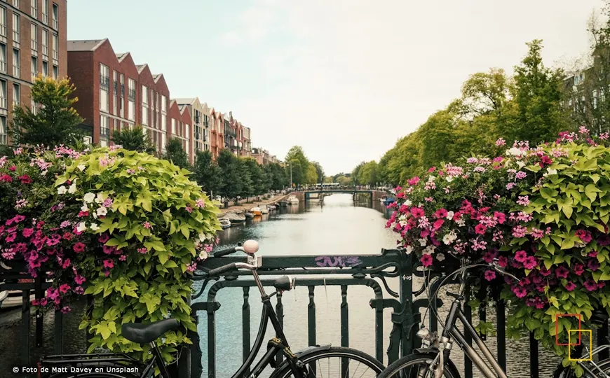 Bicicleta junto a canal de Ámsterdam con tulipanes
