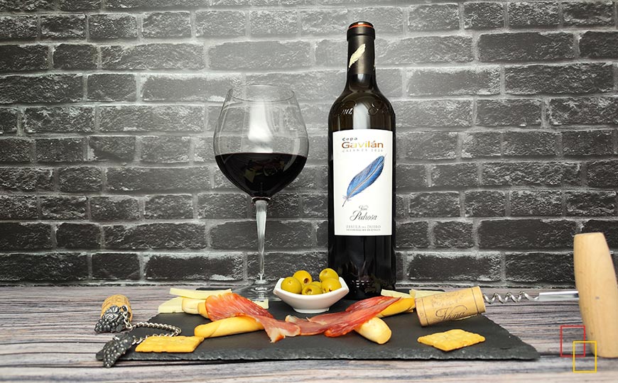 Presentación Cepa Gavilán Crianza 2020