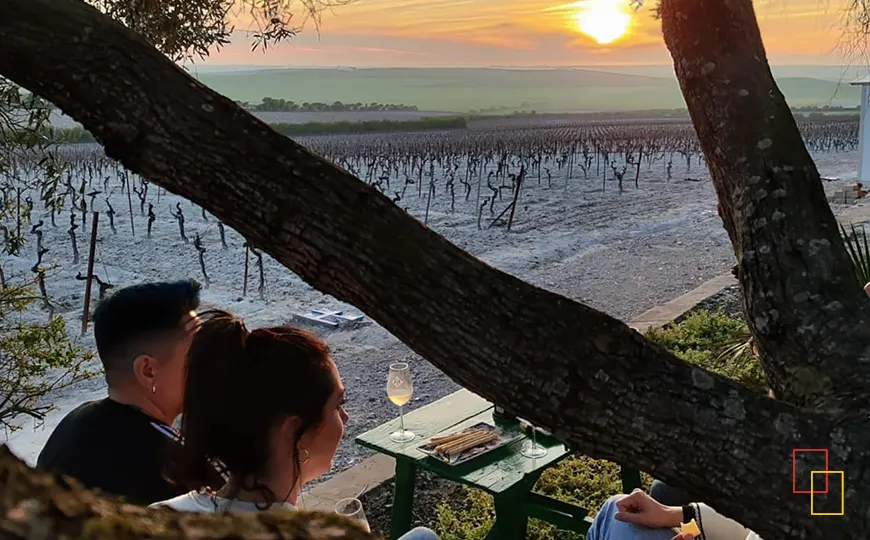 Atardecer en el viñedo durante una experiencia enoturística de Bodegas Hidalgo La Gitana en Sanlúcar de Barrameda