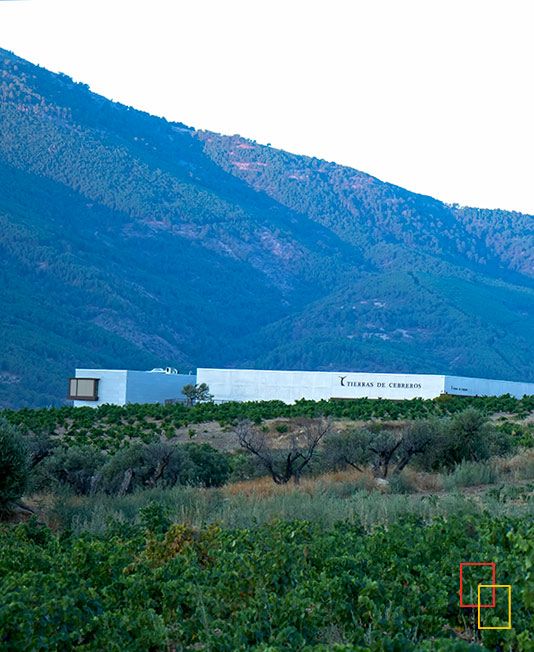 Panorámica del complejo enoturístico y del entorno natural