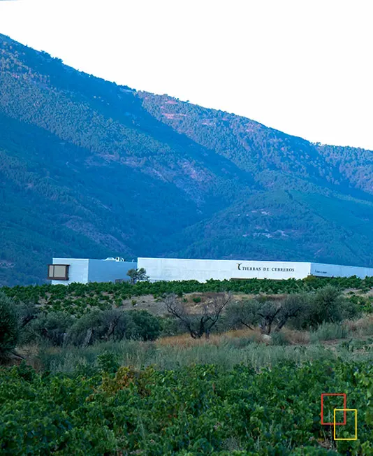 Panorámica del complejo enoturístico y del entorno natural
