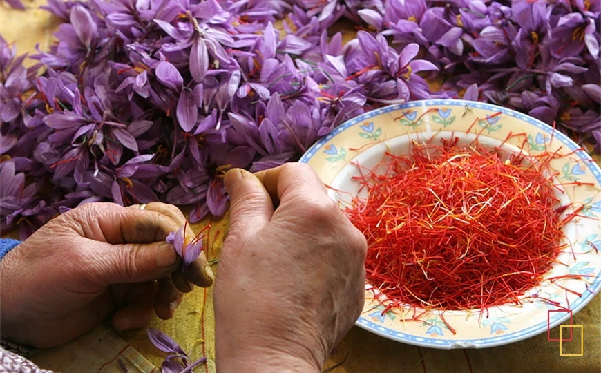 Azafrán, uno de los productos destacados de la gastronomía albaceteña