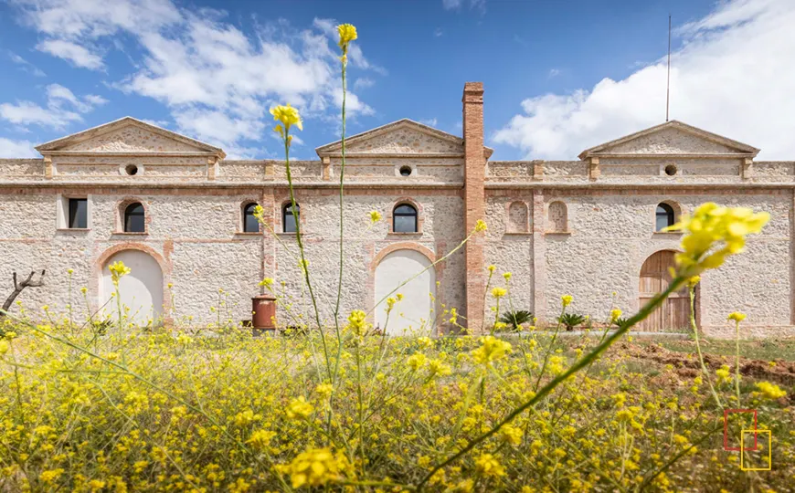 Fachada histórica de la antigua bodega Besalduch Valls & Bellmunt con flores amarillas en primer plano