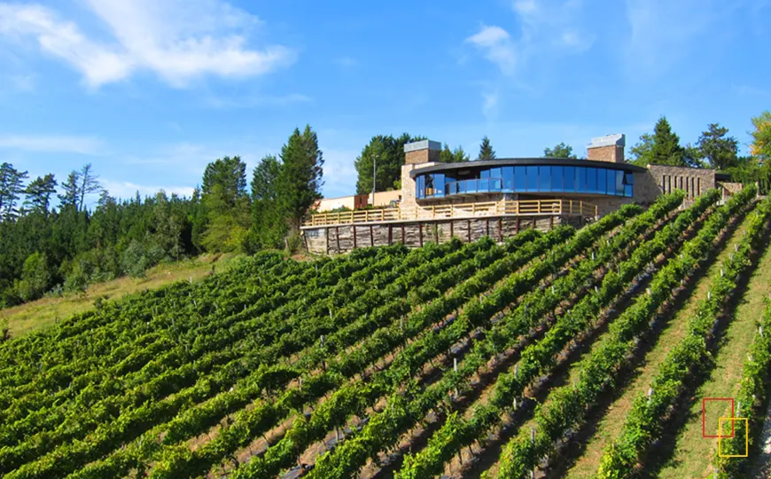 Fachada de Bodega Berroja integrada en el paisaje