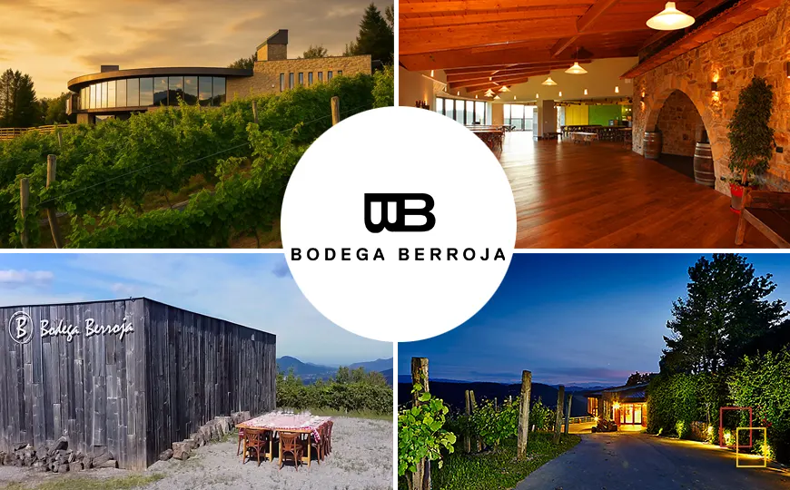 Bodega Berroja con vistas a Urdaibai y viñedos de txakoli