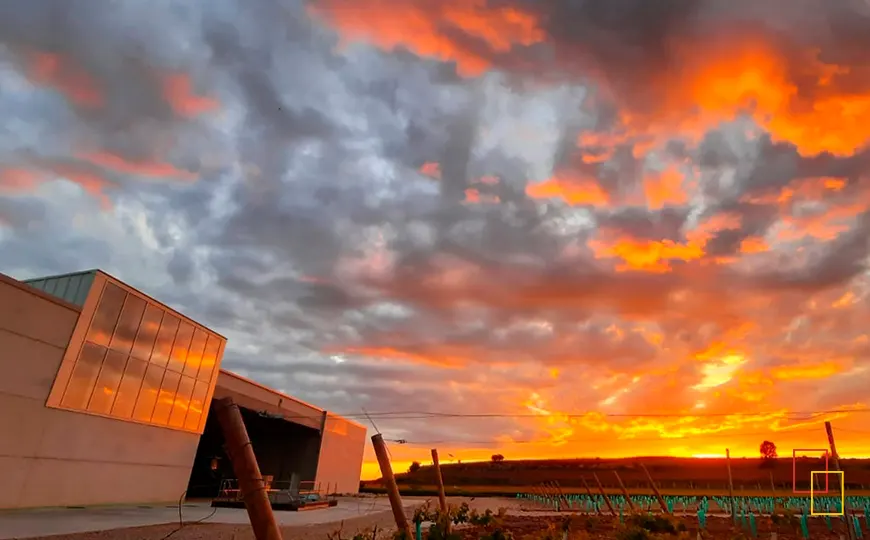 Bodega Dominio Lubiano al atardecer con cielo anaranjado sobre los viñedos de la Ribera del Duero