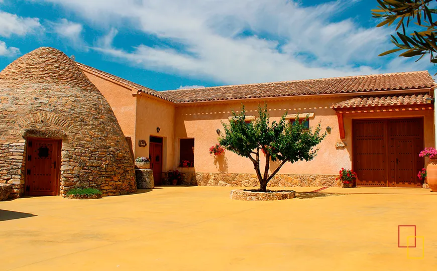 Tinajas centenarias alineadas en la sala de Bodega Las Calzadas