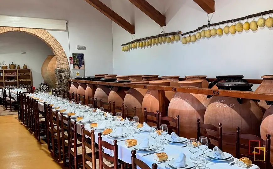 Grupo en visita guiada por la sala de tinajas de Bodega Las Calzadas