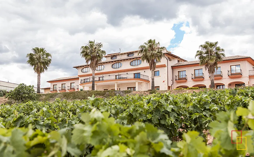 Edificio principal de Vegamar Bodegas con palmeras y viñedos en primer plano en la serranía valenciana