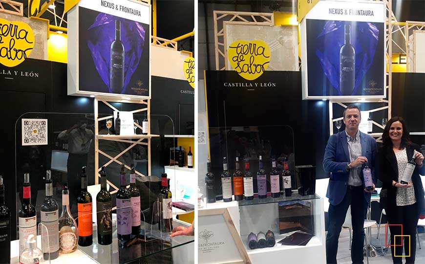 Bodegas Nexus & Frontaura