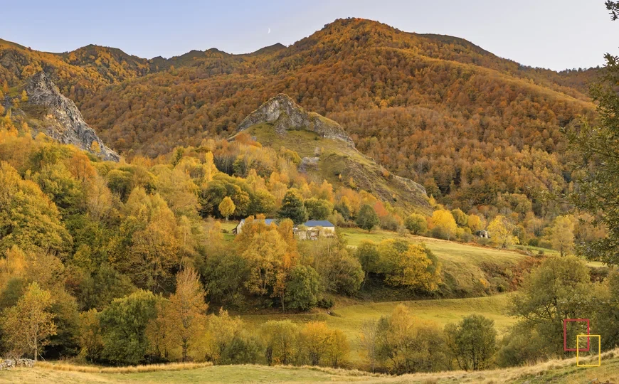 Bosque de Cerredo, en el concejo de Degaña