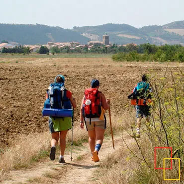 Camino Portugués hacia Santiago