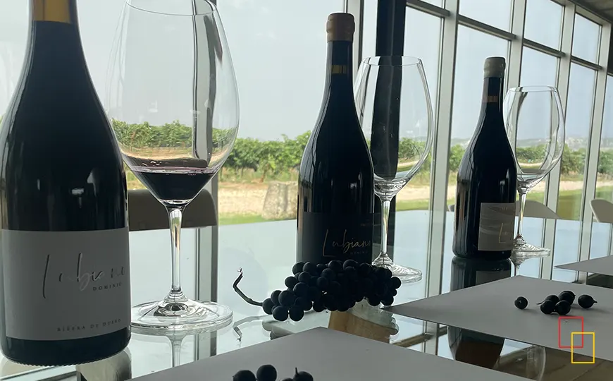 Botellas de vino Dominio Lubiano y copas de cata junto a un ventanal con vistas al viñedo