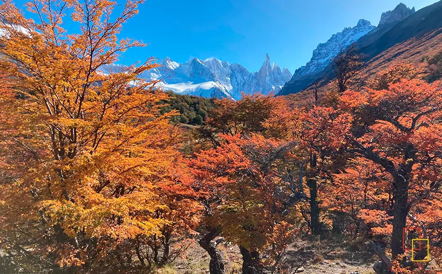 Agujas del Cerro Torre y glaciares del cordón Adela
