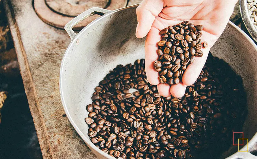 Café de origen único en cápsulas