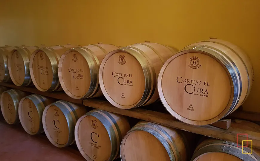 Sala de barricas de roble con vinos ecológicos en crianza en Cortijo el Cura