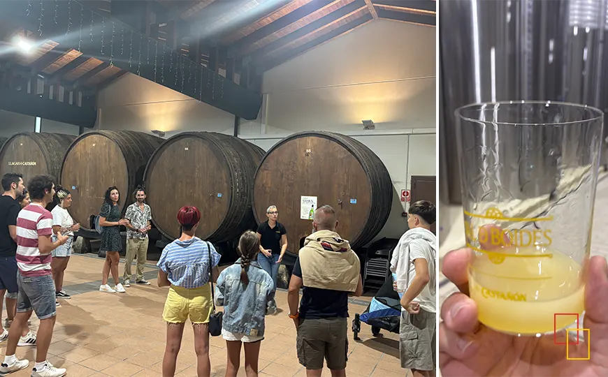 Degustación de sidra en el Llagar Castañón durante la visita