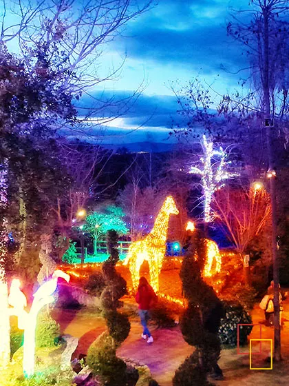El Bosque Encantado en San Martín de Valdeiglesias