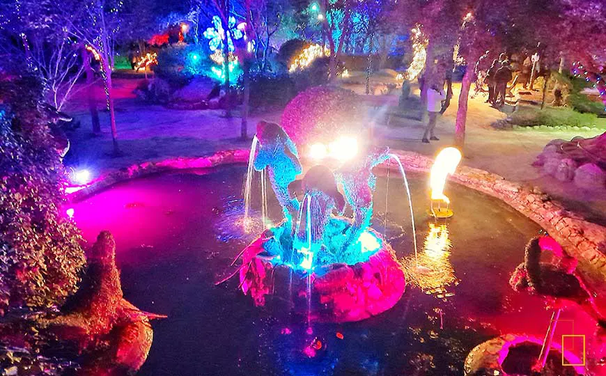 Fuente de los delfines - Experiencia Noches Mágicas