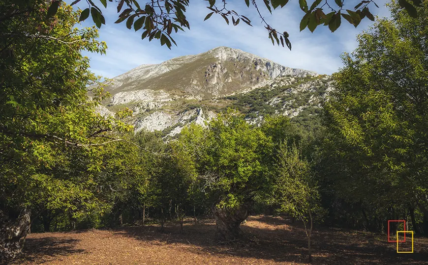 El Castañar de Pendes