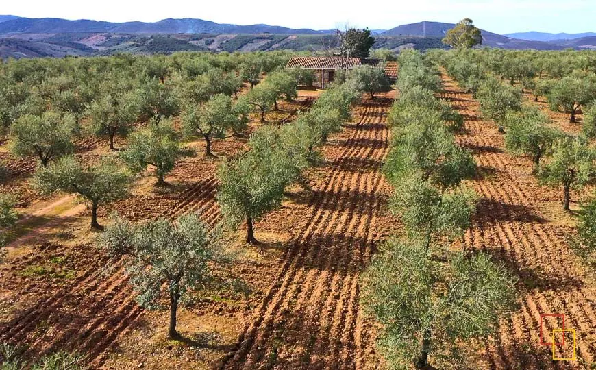 la finca