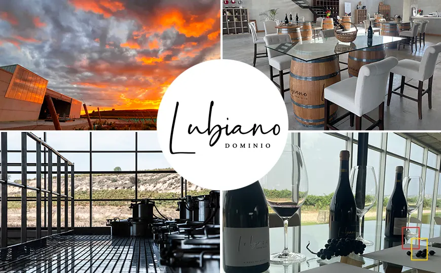Enoturismo en la bodega Dominio Lubiano, en la milla de oro de la Ribera del Duero