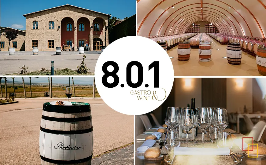 Enoturismo en Bodega Tierra de Cubas entre viñedos de la DOP Cariñena, en una colina con vistas al valle