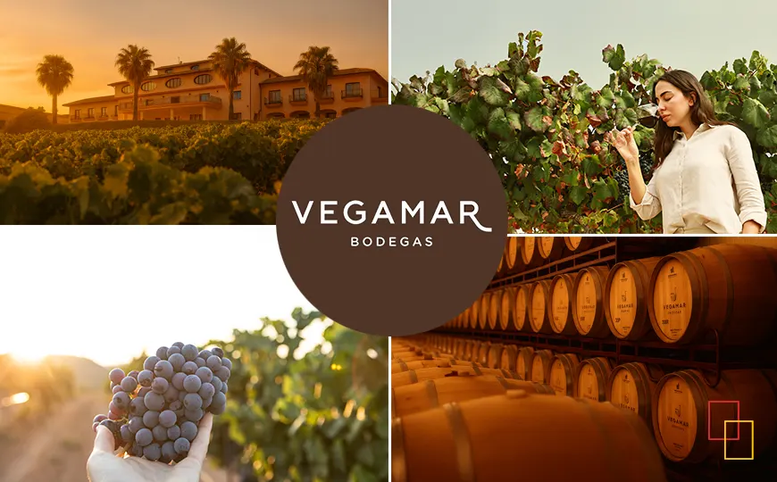 Enoturismo en Vegamar Bodegas entre viñedos de altura en el Alto Turia, en Calles (Valencia)