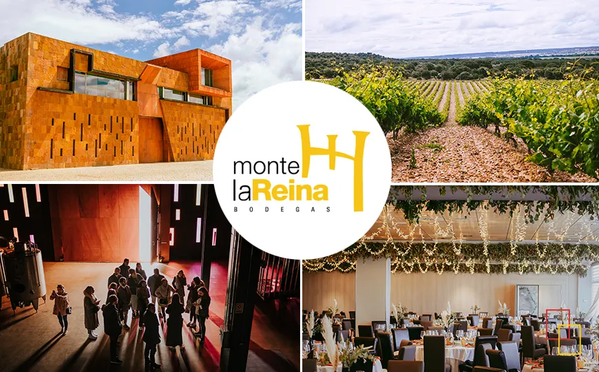 Bodegas Monte la Reina: enoturismo entre viñedos, bodega contemporánea y castillo del siglo XIX