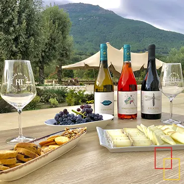 Enoturismo en España: guía con mapa y 10 experiencias