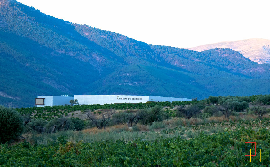 Complejo Enoturístico Tierras de Cebreros en valle del Alberche