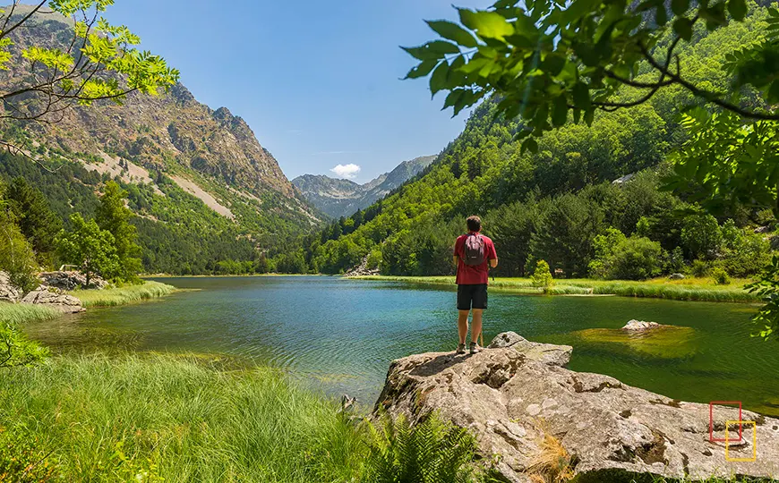 Estany de Llebreta en Aigüestortes, espejo de agua rodeado de bosque
