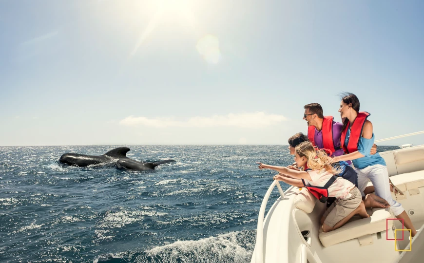 Excursiones marítimas en La Gomera