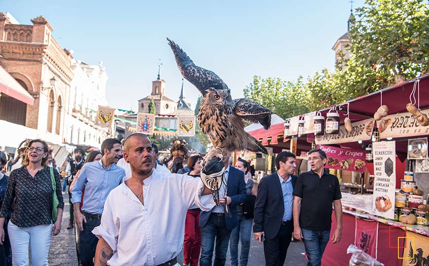 exhibición de cebrería