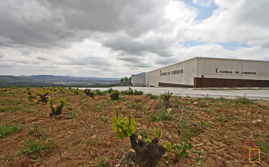 Complejo Enoturístico Tierras de Cebreros (Cebreros, Ávila)
