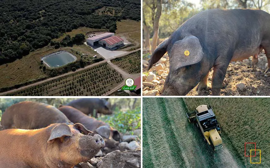 Finca El Encinar en plena Reserva de la Biosfera