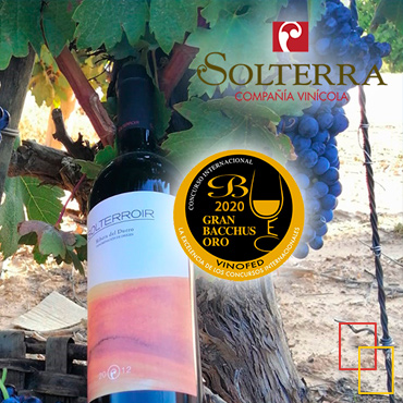 Premios Gran Bacchus Oro 2020, Solterroir 2012 de Compañía Vinícola Solterra