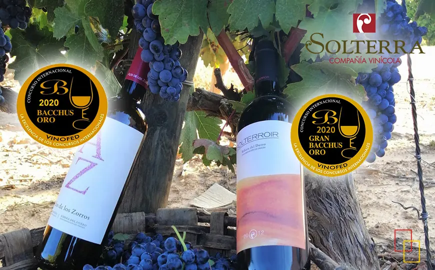 Gran Bacchus de Oro 2020 - Solterroir 2012 y Bacchus de Oro - AZ 10 meses, 2017